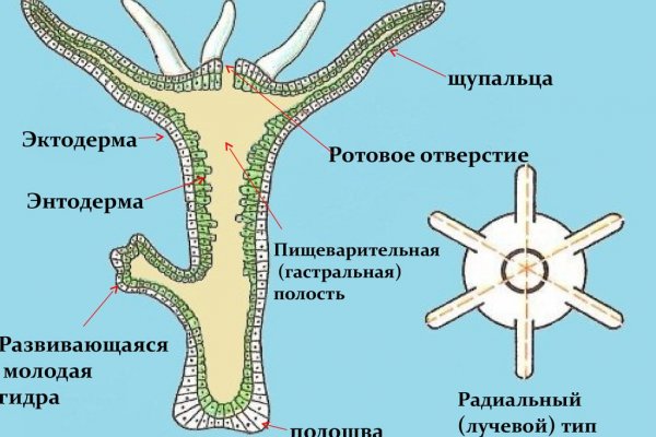 Кракен даркнет маркет ссылка сайт